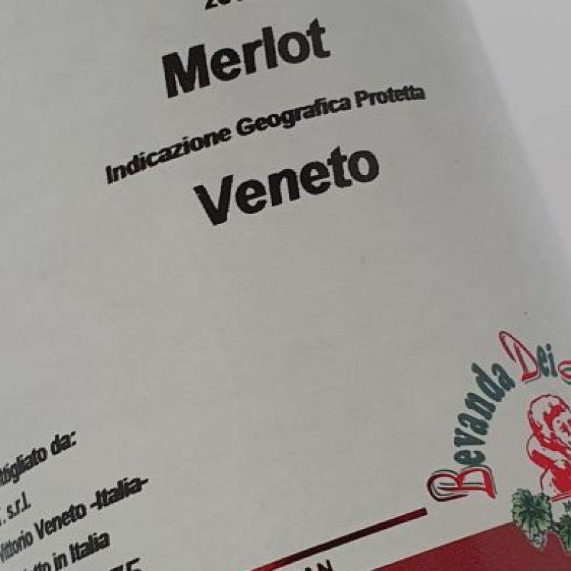 Merlot Veneto - feinherb